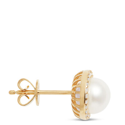 Pearl Halo Stud Earrings, 14K Yellow Gold