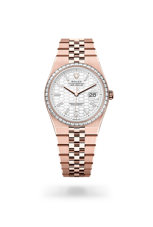 rolex land-dweller in 18 kt everose gold, m127285tbr-0002 - ben bridge