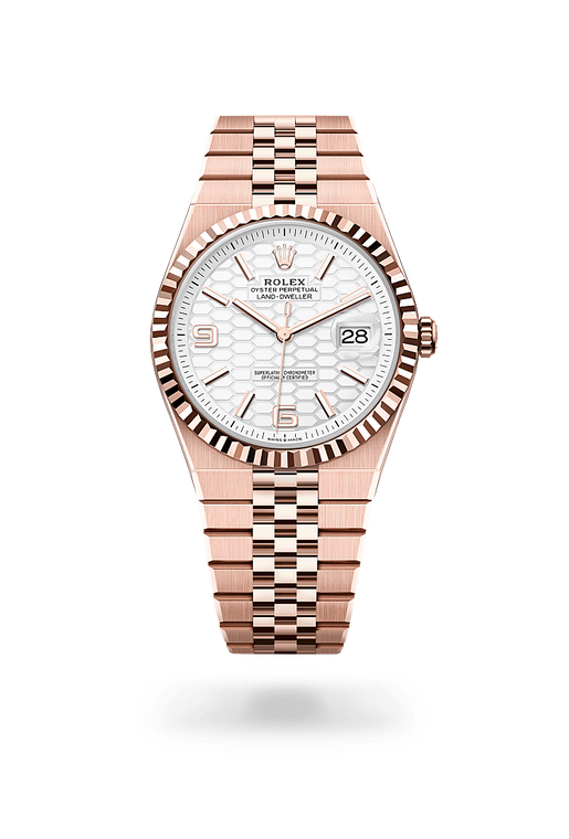 rolex land-dweller in 18 kt everose gold, m127335-0001 - ben bridge